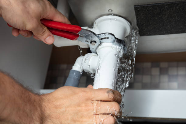 Reliable Rose Hill, VA Water damage restoration Solutions