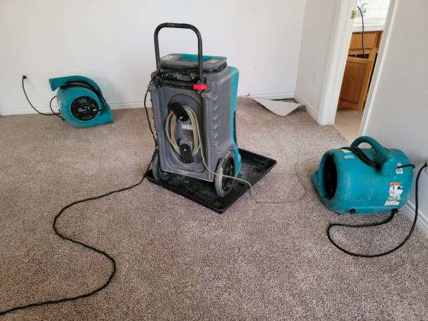 Best Water damage restoration near me  in Rose Hill, VA