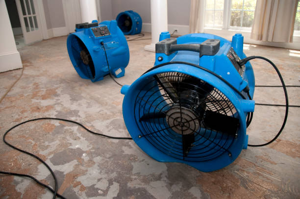 Best Local water damage restoration  in Rose Hill, VA
