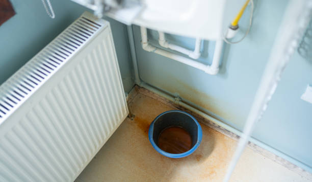 Best Professional water damage repair  in Rose Hill, VA