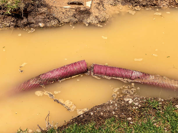 Carpet water damage restoration in Rose Hill, VA