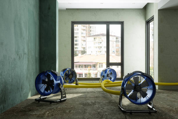 Best 24/7 water damage repair  in Rose Hill, VA